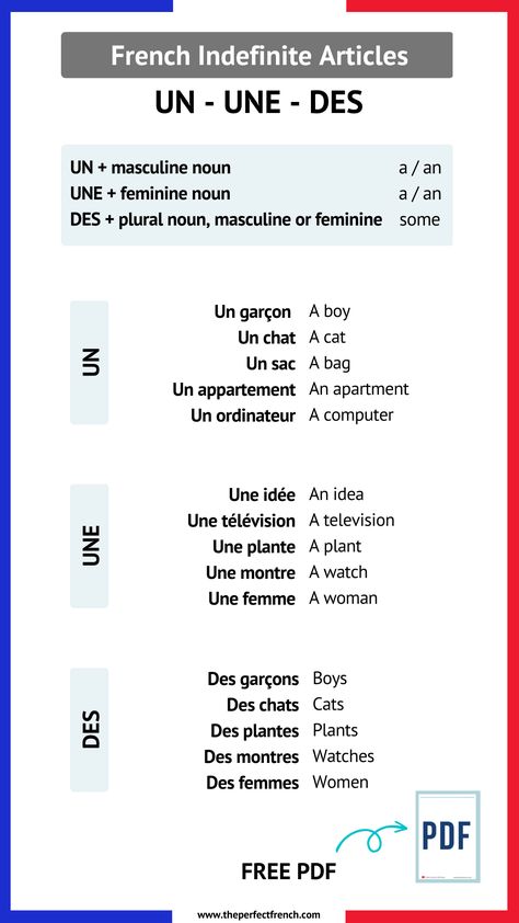 Basic French Grammar, French Grammar Rules, French Sentences With Meaning, French Grammar Worksheets, Grammar French, Articles In French, French Revision, French Nouns, French Words With Meaning