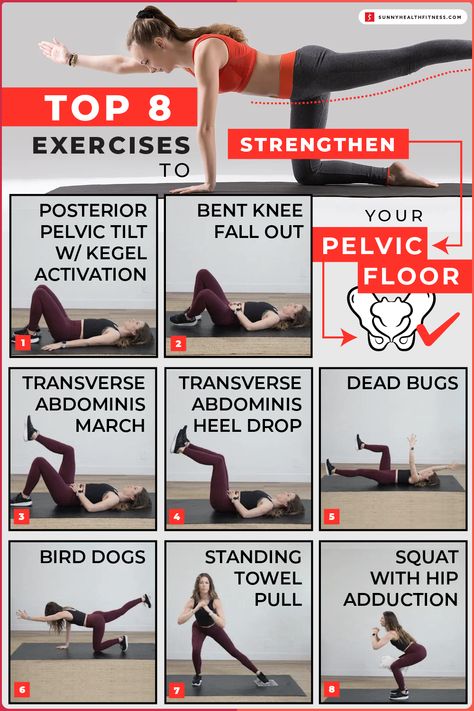 Pelvic Floor Muscle Exercise, Pelvic Floor Therapy, Floor Exercises, Pelvic Floor Exercises, Kegel Exercise, Pelvic Floor Muscles, Floor Workouts, Post Partum Workout, Strength Workout