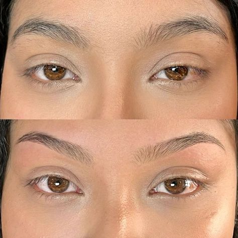 Sophia | Classic brow shaping, keeping thickness, evening out the high points, and following her natural brow shape, love! April books are full, May… | Instagram Soft Arch Eyebrows Shape, High Arch Brows, Soft Arch Brows, High Arched Eyebrows, Brow Shapes, Straight Brows, Eyebrow Shapes, Arch Brows, Arched Eyebrows