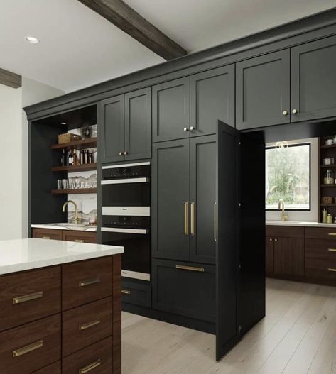 Kitchen Butlers Pantry Walk In, Back Kitchen Ideas, Dura Supreme Cabinets, Working Pantry, Kitchen Vibes, Hidden Pantry, Hidden Kitchen, Kabinet Dapur, Kitchen Pantry Design