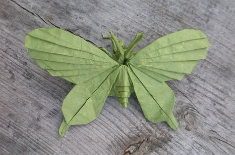 Artur Biernacki designed a very elaborate butterfly. #origami Origami Moth, Practical Origami, Origami Bugs, Puriri Moth, Origami Game, Origami Insects, Origami Japan, Unique Origami, Origami Techniques