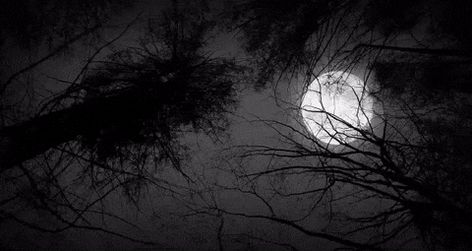 Black And White Gif, Black Banner, Banner Gif, Magic Aesthetic, Clipuri Video, The Full Moon, Aesthetic Gif, Night Aesthetic, Black Aesthetic