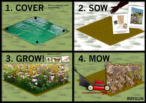 Corner Wildflower Garden, How To Make A Wildflower Meadow, Wildflower Garden Along Fence, Wildflower Patch In Garden, Wild Flower Patch In Yard, Wildflower Meadow Front Yard, Wildflower Hill Landscaping, How To Make A Wildflower Garden, Wildflower Lawn Yards