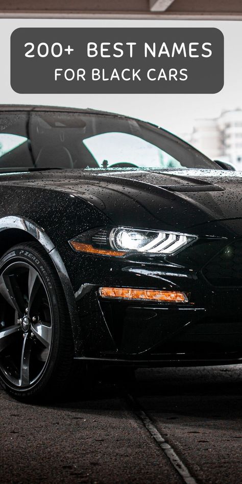 Close-up of parked car. Car Names Ideas, Blacked Out Cars, Car Names, Car Essentials, Cute Names, Classy Cars, Popular Color, Black Car, Best Black