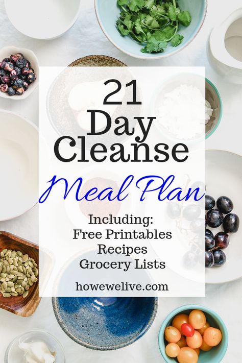 The details of starting a 21 day cleanse plan. This is a great way to reset your body and begin healing. FREE printables with meal plans, grocery lists, and recipes! #21daycleanse #21daycleanse #mealplan #cleangrocerylist 21 Day Cleanse Meal Plan, Cortisol Detox Meal Plan, 3 Day Reset Cleanse, Detox Diet 3 Day, Standard Process 21 Day Cleanse Recipes, 72 Hour Cleanse And Reset, 21 Day Reset, Complete Body Detox Cleanse, 21 Day Cleanse