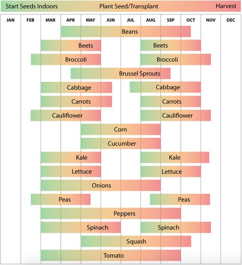 Zone 7 Planting Schedule from http://www.ufseeds.com/Zone-7-Planting-Calendar.html Vegetable Planting Calendar, Planting Schedule, Vegetable Planting, Tattoo Plant, When To Plant Vegetables, Planting Calendar, Plant Zones, Gardening Zones, Urban Farmer