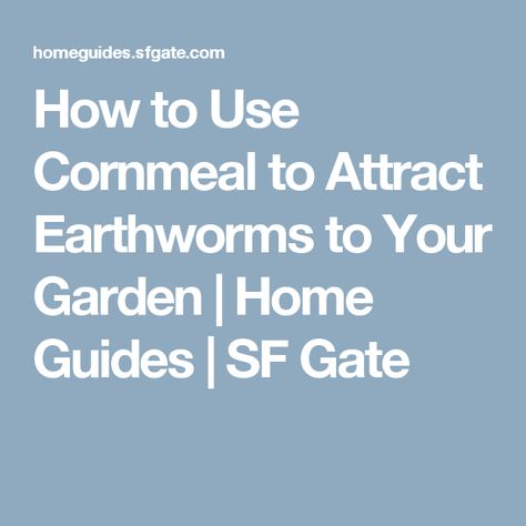 How to Use Cornmeal to Attract Earthworms to Your Garden | Home Guides | SF Gate Corrugated Tin Backsplash, Tin Backsplash Kitchen, Barn Tin, Corrugated Tin, Backsplash Kitchen, Primitive Kitchen, Corrugated Metal, Classic Kitchens, Diy Remodel