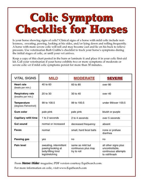 Is your horse showing signs of colic? Use Veterinarian Barb Crabbe's colic checklist to track your horse's symptoms during the initial stages of colic, or until your vet arrives. Equine Vet, Equine Care, Horse Showing, Horse Information, Healthy Horses, Horse Care Tips, Horse Facts, Horse Info, Horse Anatomy