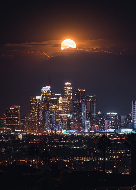 Los Angeles Skyline, Iphone Wallpaper Landscape, Scenery Photos, Los Angeles City, City Of Angels, The Shot, City Photography, Night Aesthetic, City Aesthetic