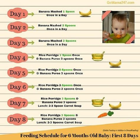 Looks like a good Schedule for #Feedingababy! . #Babyfeed #6monthbaby #Babyfood #Parenting #Childcare #Forparents #Goodparenting #Babyhealth #Babyfoods #Momlife #Motherhood #Nursing 6 Month Old Food, 4 Month Baby Food, Baby First Week, Baby Food Guide, Baby Meal Plan, Baby Food Schedule, 6 Month Baby Food, Baby Chart, Baby Solid Food