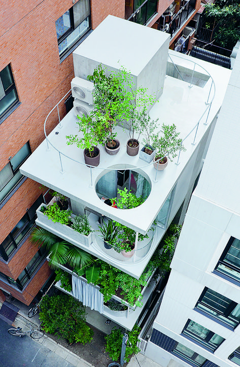 Japan Architecture House, Iwan Baan, Tokyo Architecture, Unusual Architecture, Biophilic Architecture, Modern Japanese House, House Tokyo, Japanese Houses, Ryue Nishizawa