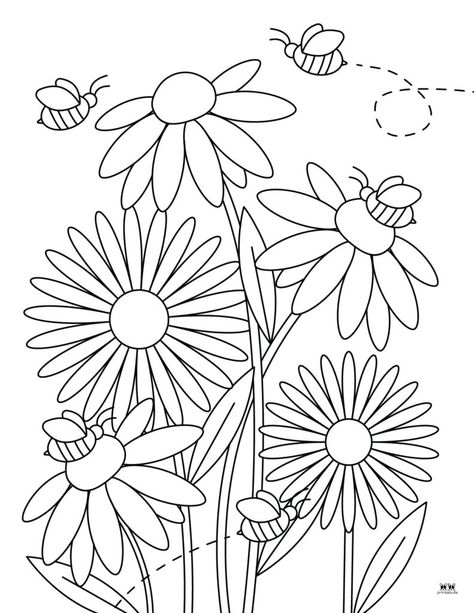 Spring Flower Coloring Pages Free Printable, Spring Adult Coloring Pages, Flowers Coloring Pages Free Printable, Cute Flower Coloring Pages, Wildflower Coloring Pages, Free Flower Coloring Pages Printables, Flower Coloring Sheets Free Printable, Free Printable Flower Coloring Pages, Spring Templates Free Printable