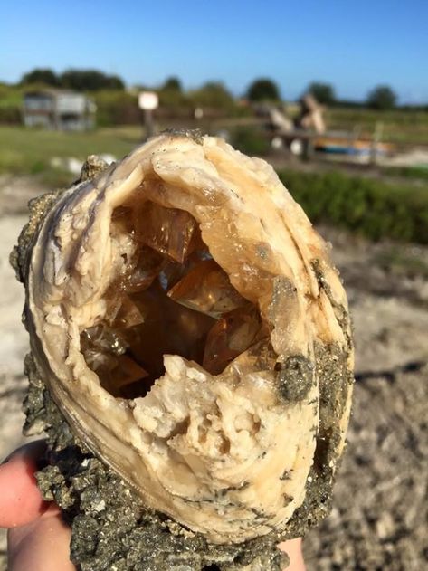 Rockhounding Florida, Crystal Mining, Gem Hunting, Fort Drum, Gem Hunt, Florida Attractions, Florida Adventures, Rocks And Fossils, Rock Hunting