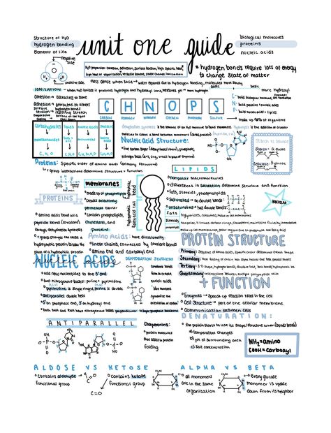 Ace your AP Biology AP Exam with this complete, condensed review of the material covered in Unit 1 of AP Biology! Ap Biology Notes Chemistry Of Life, Study Guide Biology, Ap Biology Unit 1 Notes, How To Study For Ap Biology, Biology For Beginners, Introduction To Biology Notes, Ap Bio Notes Unit 1, Biology Unit 1 Notes, Ap Biology Unit 1