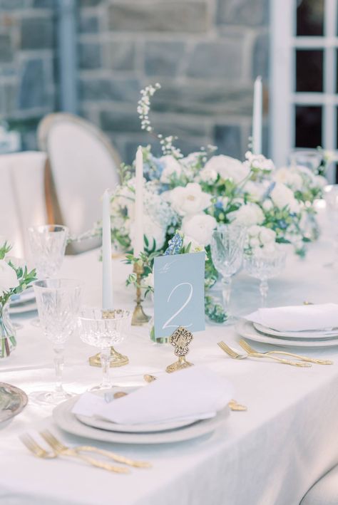 Unique Ceremony Chair Set Up, Sky Blue Wedding Reception, Diy Ideas For Wedding Decor, Wedding Decorations Light Blue, White Table With Gold Chairs, Something Blue Wedding Flowers, Blue And White Classic Wedding, Marian Blue Wedding, Blue White Green Tablescape