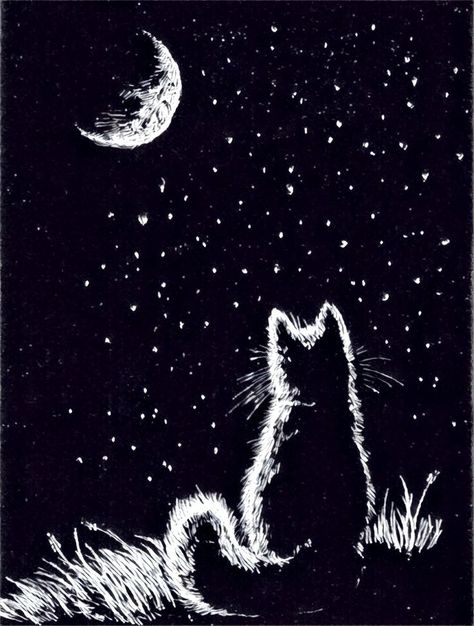 Lunaticat Scratchboard Art, Black Paper Drawing, 강아지 그림, Scratch Art, White Drawing, Black Cat Art, Seni 3d, Cats Illustration, Black And White Drawing