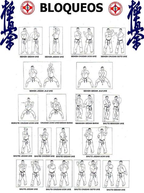 Kyokushin Techniques, Kyokushin Karate Techniques, Kempo Karate, Martial Arts Forms, Karate Kata, Goju Ryu, Karate Dojo, Martial Arts Sparring, Kyokushin Karate