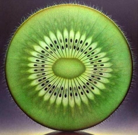 Kiwi 🥝 Dennis Wojtkiewicz, Fractals In Nature, Geometry In Nature, Foto Tips, Natural Forms, Patterns In Nature, Fractal Art, Macro Photography, Sacred Geometry