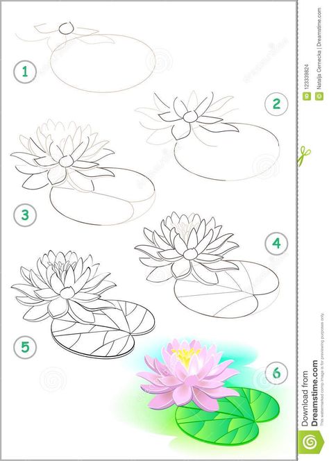 Lily Flower Drawing, Lily Pad Drawing, Water Lily Drawing, Watercolour Water, Lilies Drawing, Water Lilies Painting, Flower Step By Step, Flower Drawing Tutorials, Lily Painting