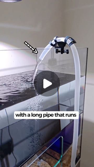 Fishtopia on Instagram: "Fill up your tank with this easy hack! 👍 #fish #petfish #fishtank #aquarist #aquarium" Diy Aquarium Stand, Fish Tank Cleaning, Fish Tank Stand, Diy Fish Tank, Aquarium Stand, Diy Aquarium, Tank Stand, Aquarium Accessories, Pet Fish