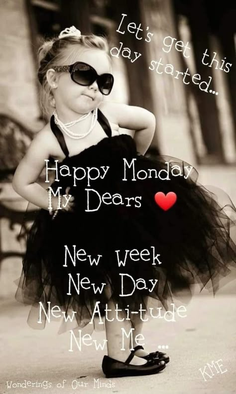 Happy Monday Images Funny, Happy Monday Humor, Monday Quotes Funny, Monday Gifs, Childhood Friends Quotes, Verknipte Humor, Positive Quotes For Friends, Funny Monday, Happy Monday Images