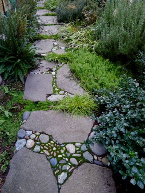 Garden stepping stones come in many flavors - personalized garden stepping stones, shaped stepping stones, cheap, round, mosaic and decorative [LEARN MORE] Walkways Paths, Garden Stepping Stones, Garden Walkway, Stone Pathway, Stone Path, Have Inspiration, The Secret Garden, Mosaic Garden, Garden Pathway