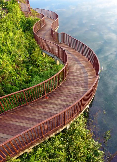 Swedish lakeside. On a warm summer evening , #AD, #lakeside, #Swedish, #warm, #evening, #summer #ad Wood Walkway, Famous Gardens, Lake Side, Nature Walk, Cool Pictures Of Nature, Landscape Projects, Stock Photography Free, Natural Style, Walking In Nature