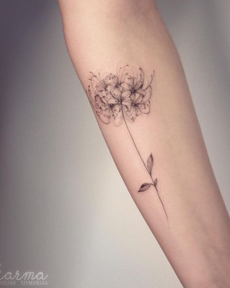 Spider lily 💐… | Honeysuckle tattoo, Cool tattoos, Lily tattoo Tattoos Lily, Spider Lillies, Lily Tattoo Ideas, Lily Tattoo Meaning, Spider Lily Tattoo, Baddie Tats, Honeysuckle Tattoo, Lycoris Radiata, Lillies Tattoo