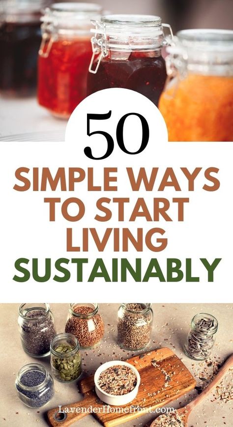 Back To Basics Living, Happy Homemaking, Living Sustainably, Homesteading Diy, Eco Life, Homesteading Skills, Homestead Living, Veg Garden, Living Off The Land