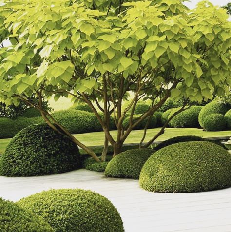 Boxwood Garden, Zen Garden Design, Topiary Garden, Aesthetic Garden, Formal Garden, Casa Exterior, Formal Gardens, Backyard Inspo, French Garden