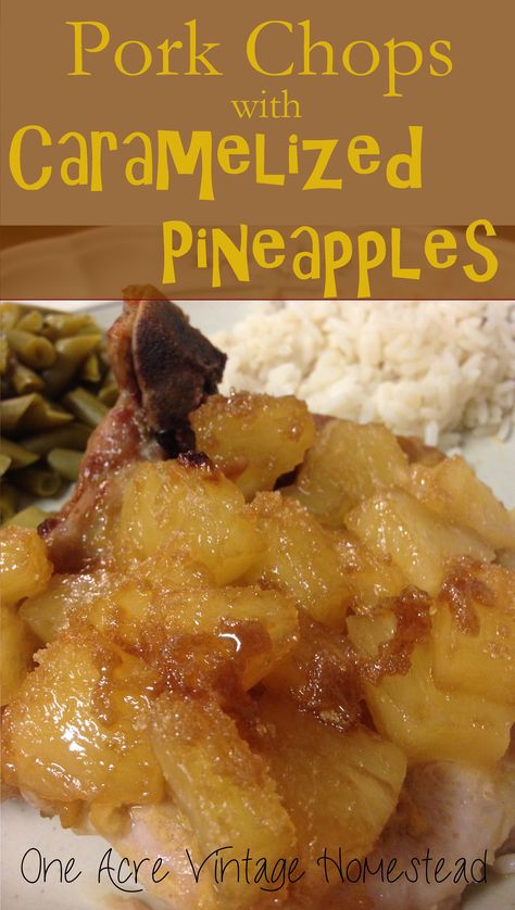 Vintage Homestead, Pineapple Pork Chops, Brown Sugar Pork Chops, Smoked Pork Chops, Pork Chop Recipes Crockpot, Seared Pork Chops, Pineapple Pork, Picky Toddler, Chop Recipes