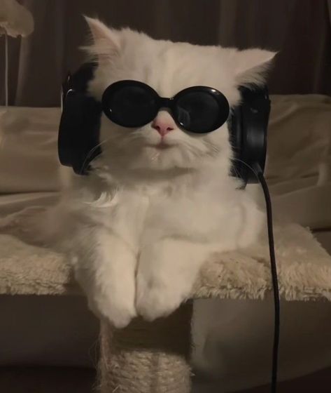 Workout Aesthetic Playlist Cover, Spotify Playlist Covers Cute, Bops Playlist Cover Aesthetic, Soul Playlist Cover, Cat W Headphones Pfp, Spofity Cover, Spotify Asthetic Picture, Playlist Icons Aesthetic, Chill Vibe Playlist Cover