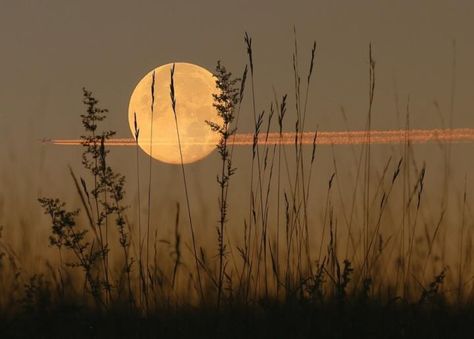 Full Moon Names, Moon Facts, Corn Moon, Moon Names, Next Full Moon, Farmers Almanac, Old Farmers Almanac, The Moon Is Beautiful, Moon Pictures