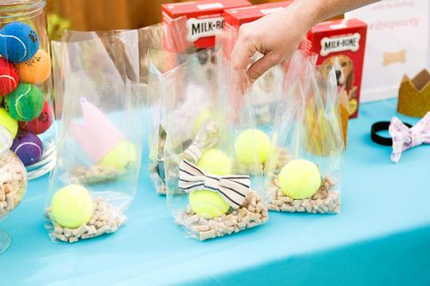 Fill up goodie bags with dog treats, tennis balls + dog accessories to give out at your puppy party. #partner Dog Birthday Party Ideas, Dog First Birthday, Puppy Obedience Training, Puppy Birthday Parties, Positive Dog Training, Easiest Dogs To Train, Dog Training Advice, Dog Training Videos, Gotcha Day