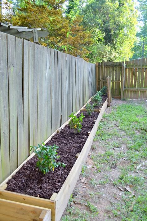 Gardenia Garden Beds - The Ugly Duckling House Gardenia Garden, Wooden Raised Garden Bed, Vegetable Garden Raised Beds, Building A Raised Garden, Garden Vines, Diy Raised Garden, Raised Garden Beds Diy, Chain Link Fence, Budget Backyard