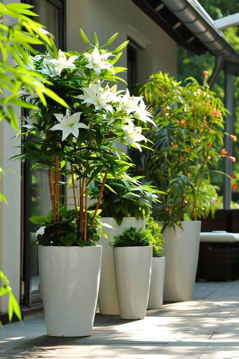 17 Patio Privacy Ideas to Shield Your Space in Style Patio Privacy Ideas With Plants, Privacy Ideas For Small Patios, Privacy Plants For Patio, Potted Plants For Privacy, Patio Plants Ideas, Front Porch Privacy Ideas, Tropical Patio Ideas, Patio Privacy Ideas, Lanai Ideas