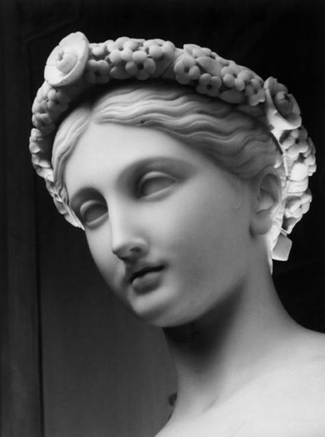 perfect face Portret Feminin, Roman Statue, Classic Sculpture, European Sculpture, Greek Statues, Artist Photography, Roman Sculpture, Kunst Inspiration, Greek Sculpture