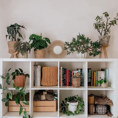 Boho Cube Shelf, How To Style Ikea Cube Shelf, Cube Shelf With Plants, Aesthetic Cube Shelf Decor, White Kallax Living Room, Kallax Storage Cubes, Decorating A Cube Shelf, Styling Cube Shelves Living Room, Style Ikea Cubes