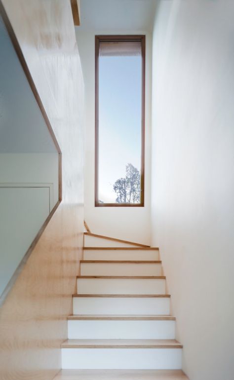 Tinshed / Raffaello Rosselli Staircase Window, Stairs Window, Tin Shed, Eco Architecture, Long Windows, Shed Homes, Interior Stairs, House Stairs, Staircase Design