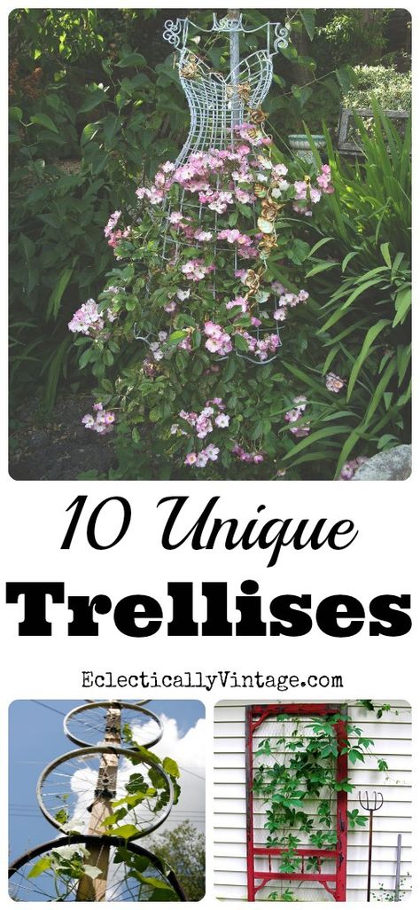 10 Unique Trellis Ideas - I'm definitely trying some of these! Kellyelko.com #gardening #gardeningideas #gardens #gardeningtips #landscaping #landscapingideas Unique Trellis Ideas Climbing, Upcycled Trellis Ideas, Unique Trellis, Decorative Trellis, Wire Dress, Vine Trellis, Unique Garden Art, Trellis Ideas, Diy Trellis