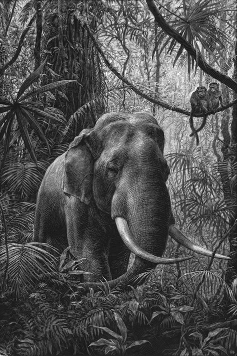 El Animal Ilustrado Ricardo Martinez, Jungle Drawing, Scratchboard Illustration, Scratchboard Drawings, Bd Art, Scratchboard Art, Elephants Photos, Jungle Art, 흑백 그림