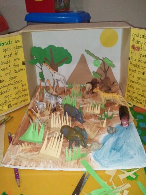 Teaching Habitats, Art History Projects For Kids, Ecosystems Diorama, Savanna Biome, Biomes Project, Diorama Kids, Ecosystems Projects, Habitats Projects, Homeschool Lessons