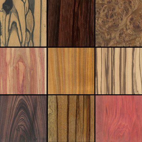 The Wood Database — browse all the beautiful colors and patterns of wood from around the world. Easy Woodworking Ideas, Glamour Home, Small Room Decor, Got Wood, Different Types Of Wood, Woodworking Wood, Stain Colors, Wood Texture, Diy Wood Projects