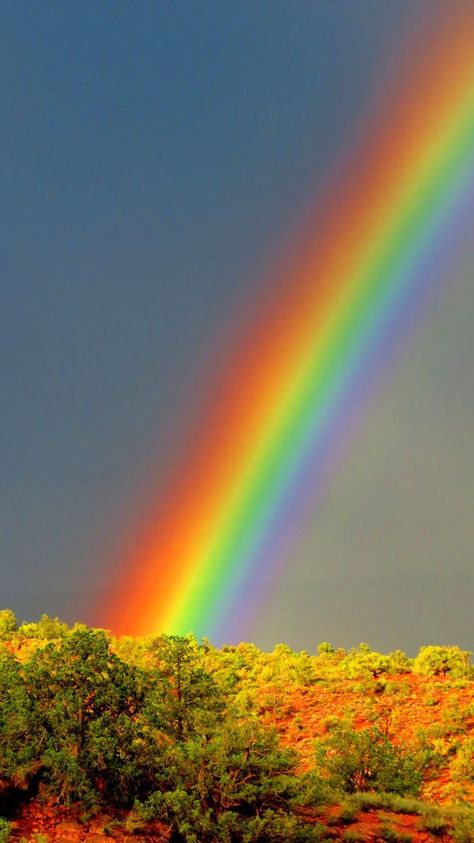 Rainbow God, Nature God, Rainbow Promise, Rainbow Nature, Rainbow Pictures, Rainbow Photography, God's Promise, Rainbow Magic, Rainbow Sky