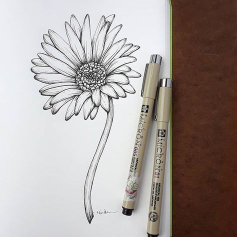 Finished up a gerbera daisy tattoo commission for a lovely Gerber Daisy Tattoo With Names, Gerbera Daisy Drawing, Gerbera Daisy Tattoo, Gerber Daisy Tattoo, Drawing Tattoo Ideas, Daisy Tattoos, Daisy Drawing, Gear Tattoo, Daisy Flower Tattoos