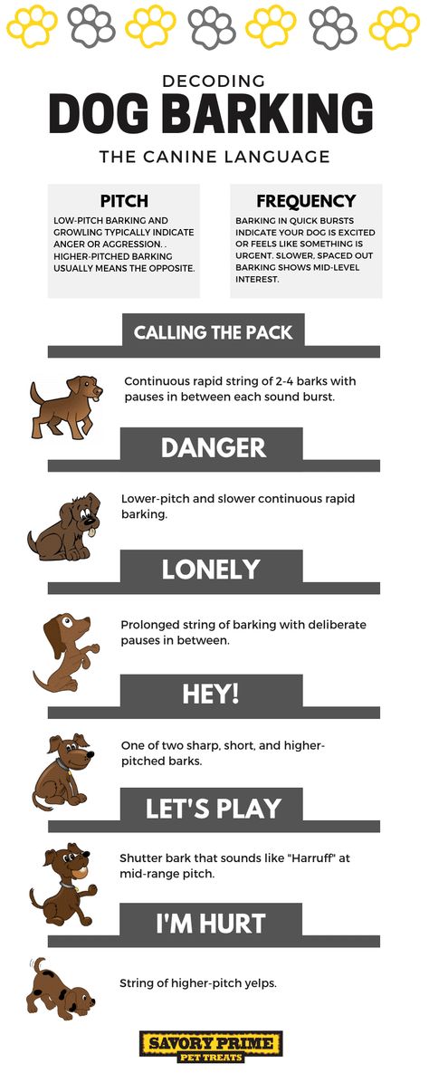 Dog Body Language, Dog Bark, Dog Remedies, Dog Language, Dog Facts, Dog Info, Dog Care Tips, Types Of Dogs, Pet Hacks