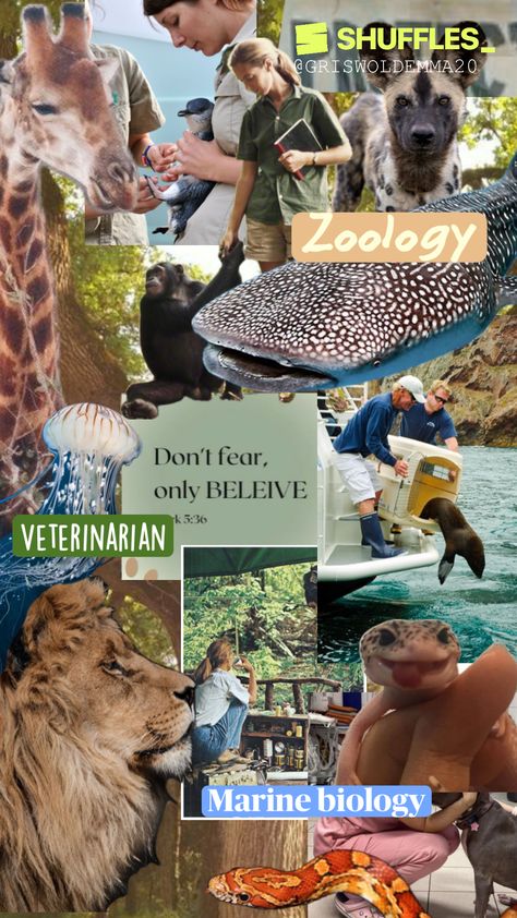 Created by griswoldemma20 on Shuffles Aesthetic Vet Pictures, Zoologist Career, Marine Biologist Aesthetic, Biologist Aesthetic, Zoology Career, Vet School Motivation, Vet Tech School, ماثيو ماكونهي, Vet Medicine