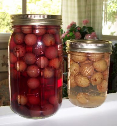 Muscadine Grape Juice Recipe - Food.com: Food.com Muscadine Recipe, Homemade Grape Juice, Muscadine Jelly, Mississippi Food, Grape Juice Recipe, Muscadine Grapes, Homemade Wine Recipes, Muscadine Wine, Food In Jars