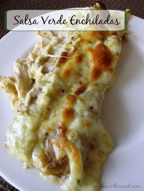 Explore a delicious twist on a classic favorite with these Salsa Verde Chicken Enchiladas. Packed with flavor and perfect for any meal, these enchiladas are sure to become a family favorite. Enjoy the vibrant taste of salsa verde combined with tender chicken wrapped in soft tortillas. Different Types Of Enchiladas, Low Carb Salsa Verde Chicken Enchiladas, Creamy Verde Enchilada Sauce, Poblano Enchiladas, Gf Tortillas, Creamy Enchiladas, Verde Chicken Enchiladas, Verde Enchiladas, Salsa Verde Chicken Enchiladas