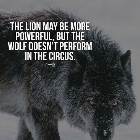 Circus Quotes, Lone Wolf Quotes, Lion Quotes, Daily Quotes Positive, Gentleman Quotes, Wolf Quotes, Hustle Quotes, Gary Vaynerchuk, Warrior Quotes